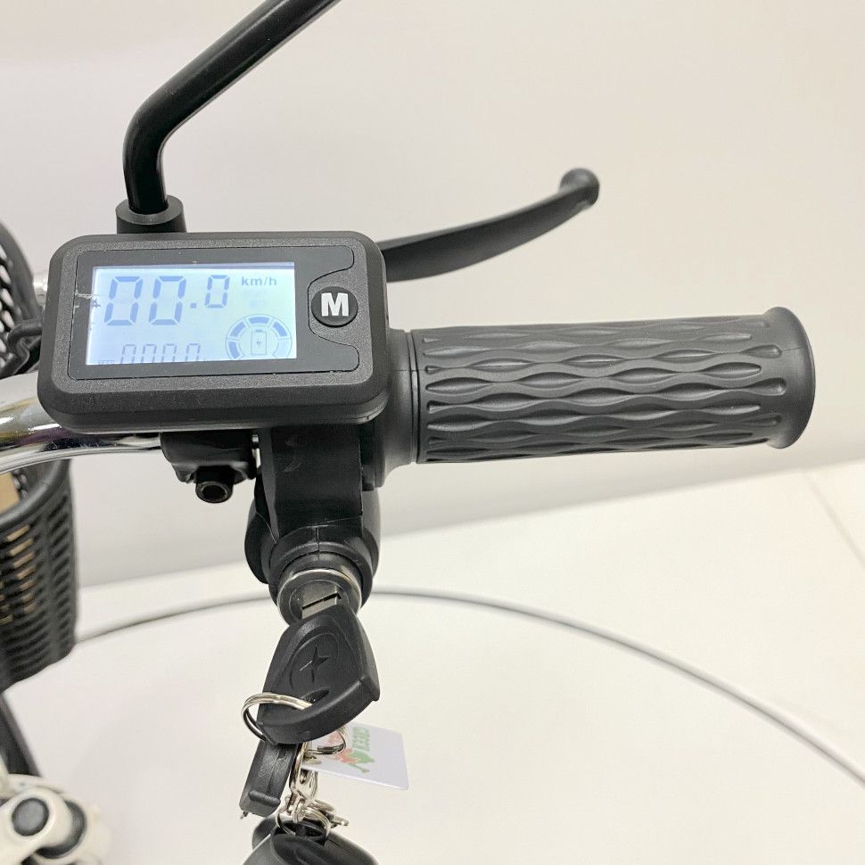 Электровелосипед GreenCamel Транк 18 V8 500W